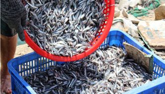Nam Ngư: Thương hiệu dẫn đầu thị trường nước mắm
